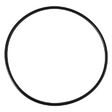 AGCO O-RING 70923821 Parts - True Ag & Turf