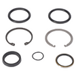AGCO SEAL KIT 700708737 Parts - True Ag & Turf