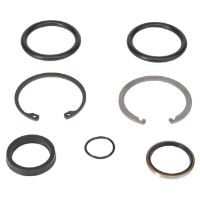 AGCO SEAL KIT 700708737 Parts - True Ag & Turf