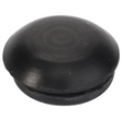AGCO PLUG 1675145M1 Parts - True Ag & Turf