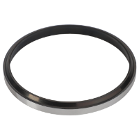 AGCO SCRAPER RING 3009884X1 Parts - True Ag & Turf