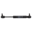 AGCO Gas Strut, Door 3648001M91 Parts - True Ag & Turf
