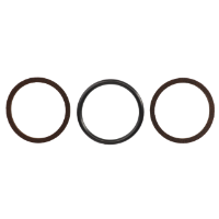 AGCO SEAL SET 70229709 Parts - True Ag & Turf