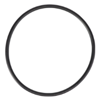AGCO O-RING 70272721 Parts - True Ag & Turf
