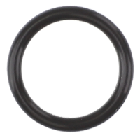 AGCO O-RING 3756193M1 Parts - True Ag & Turf