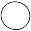 AGCO O-RING 3909971M1 Parts - True Ag & Turf