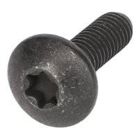 AGCO TORX HEAD SCREW CH9X-2045