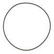 AGCO O-RING 363909X1 Parts - True Ag & Turf