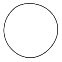 AGCO O-RING 363909X1 Parts - True Ag & Turf