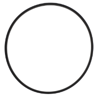 AGCO O-RING 700734493 Parts - True Ag & Turf