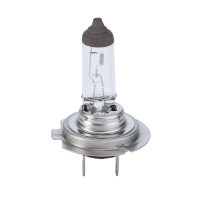 AGCO Bulb, H7 12V 55W VSH2673 Parts - True Ag & Turf