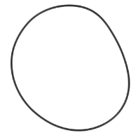 AGCO GASKET 3045432M1 Parts - True Ag & Turf