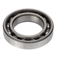 AGCO BALL BEARING V610060096 Parts - True Ag & Turf