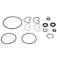 AGCO SEALS KIT 1810839M92 Parts - True Ag & Turf