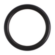 AGCO O-RING 3756940M1 Parts - True Ag & Turf