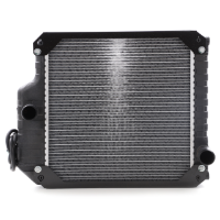 AGCO Radiator, With Cap 6215001M91 Parts - True Ag & Turf