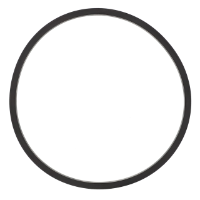 AGCO O-RING AG726969 Parts - True Ag & Turf