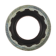 AGCO SEAL 1020224M1 Parts - True Ag & Turf