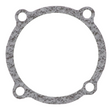 AGCO GASKET 4222095V1 Parts - True Ag & Turf