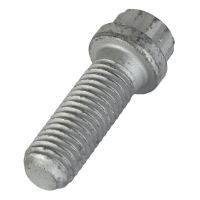 AGCO SCREW 403243X1 Parts - True Ag & Turf