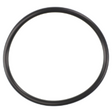 AGCO O-RING ACP0287250 Parts - True Ag & Turf