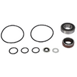 AGCO HYDRAULIC MOTOR SEAL KIT ACP0301720 Parts - True Ag & Turf