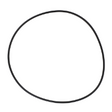 AGCO O-RING 72252571 Parts - True Ag & Turf