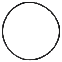 AGCO O-RING WR131966 Parts - True Ag & Turf