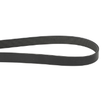 AGCO Serpentine Belt, 8PK, Black, Aramid Cord A3289503 Parts - True Ag & Turf