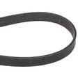 AGCO Belt 7066621M1 Parts - True Ag & Turf