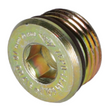 AGCO PLUG 4224863M1 Parts - True Ag & Turf