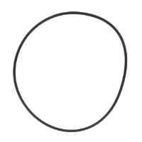 AGCO O-RING 394881X1 Parts - True Ag & Turf