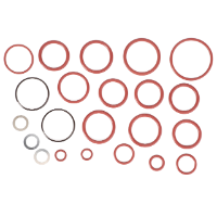 AGCO Seal Kit, Control Valve 72431443 Parts - True Ag & Turf