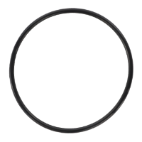 AGCO O-RING 70930861 Parts - True Ag & Turf