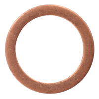 AGCO SEALING RING 390202X1 Parts - True Ag & Turf