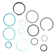 AGCO Seal Kit, Hydraulic Cylinder 72439149 Parts - True Ag & Turf