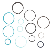 AGCO Seal Kit, Hydraulic Cylinder 72439149 Parts - True Ag & Turf