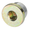 AGCO PLUG 1137308 Parts - True Ag & Turf