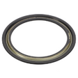 AGCO Oil Seal 4308946M1 Parts - True Ag & Turf