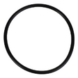 AGCO O-RING 7038532 Parts - True Ag & Turf