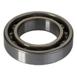 AGCO BALL BEARING 7068558M1 Parts - True Ag & Turf