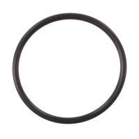AGCO O-RING 6261736M1 Parts - True Ag & Turf