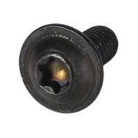 AGCO TORX SCREW ACW3343360