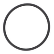 AGCO O-Ring 023289P1 Parts - True Ag & Turf