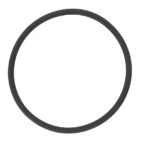 AGCO O-Ring 023289P1 Parts - True Ag & Turf