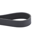AGCO BELT 522484D1 Parts - True Ag & Turf