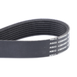 AGCO BELT 4295885M1 Parts - True Ag & Turf