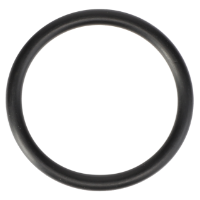 AGCO O-RING 70925454 Parts - True Ag & Turf