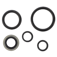 AGCO SEALS KIT 3186708M92 Parts - True Ag & Turf