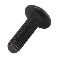 AGCO TORX HEAD SCREW ACX2570340  - True Ag & Turf